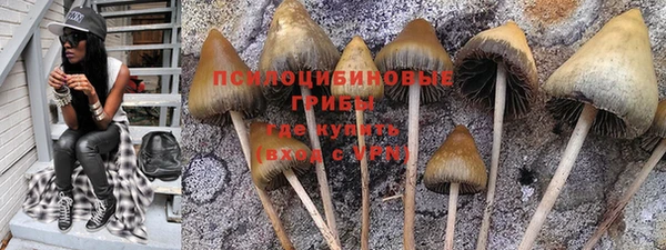соль ск Бронницы