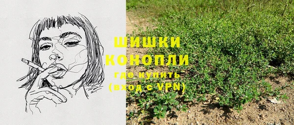 соль ск Бронницы
