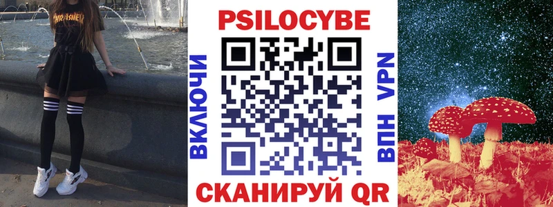 Псилоцибиновые грибы мицелий  Гудермес 